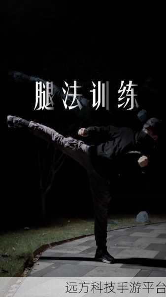 八重腿法娴熟:1. 八重腿法的精髓:从基础到高级技巧