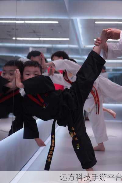 八重腿法娴熟:1. 八重腿法的精髓:从基础到高级技巧