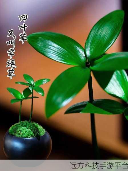 四叶草入口:1. 四叶草入口:幸运与希望的奇妙旅程