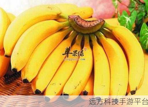 香蕉视频chicbanana:1. 探索香蕉视频:让你爱不释手的精彩内容