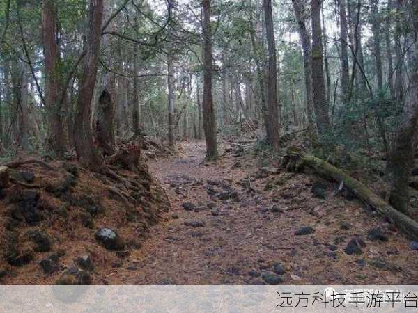 兰德里纳河的森林,恐怖逃脱之旅,挑战你的心理极限