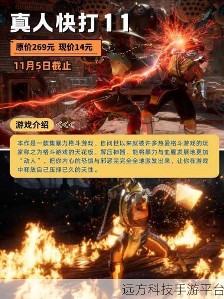 王牌机甲战斗模拟,燃爆指尖的机甲对决新体验