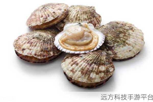 一人 上面 下感扇贝动:1. 一人一扇贝:探索海洋的奇妙之旅