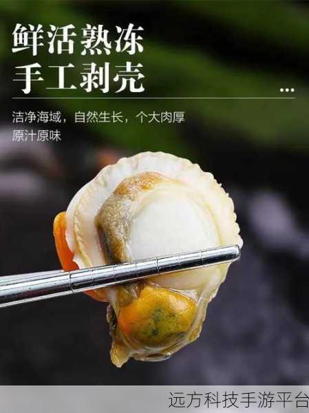 一人 上面 下感扇贝动:1. 一人一扇贝:探索海洋的奇妙之旅