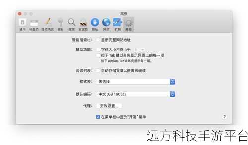 掌握IE浏览器字体效果设置,优化浏览体验