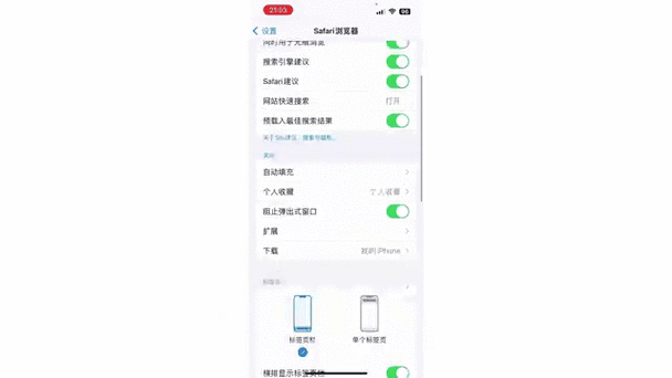 轻松找到 Safari 浏览记录，两大妙招必看