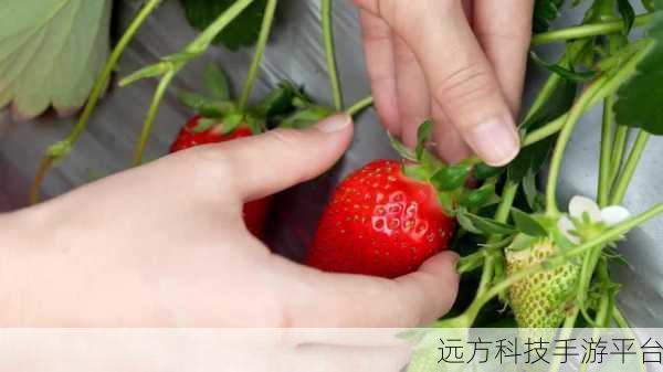 7160草莓视频最新在线观看：1. ＂7160草莓视频：最新高清影片尽在掌握