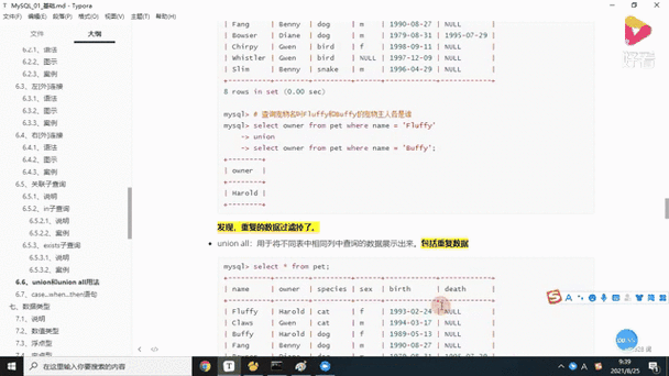 深入解析,MySQL 的 Union 与 Union All 用法大揭秘