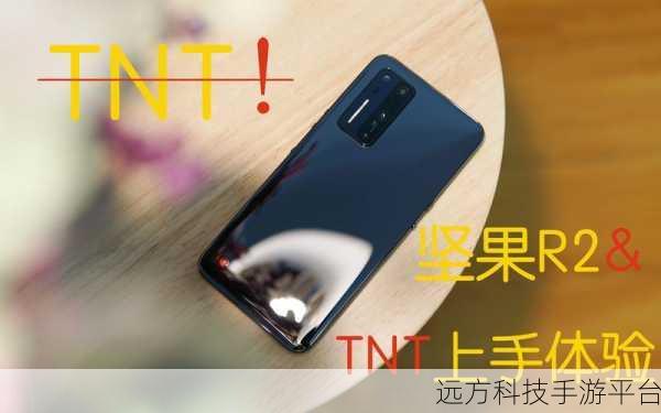 坚果 R1 摄像头磨损,理性审视与应对之策