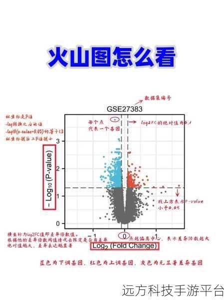 深度剖析，抖音火山版与抖音视频的差异全知道