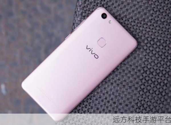 探索 vivo Y79 多彩世界，你钟情于哪一色？