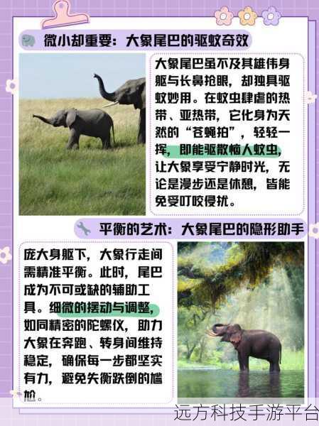 大象影视:1. 大象影视:探索奇幻世界的视觉盛宴