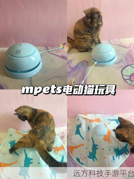 百变躲猫猫,轻松益智,休闲新宠等你来探索!
