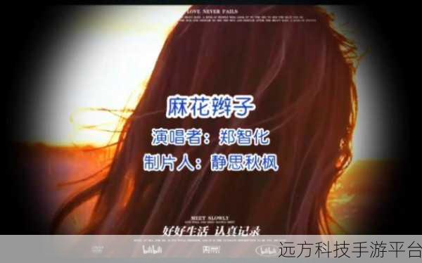 麻花传剧原创mv在线看完整版视频：1. 《麻花传剧：幽默与感动交织的精彩MV