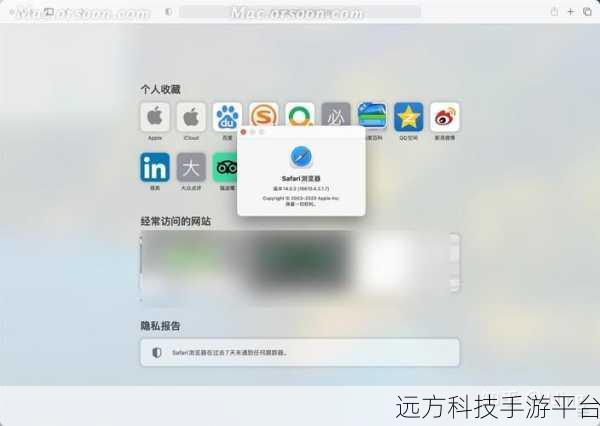 掌握 Safari 正确设置，畅享极致网络体验