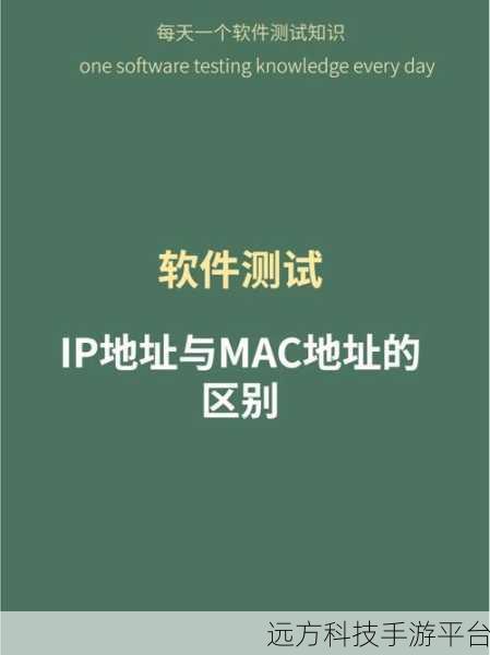 掌握 MAC 地址与 IP 地址绑定秘籍,畅游网络世界