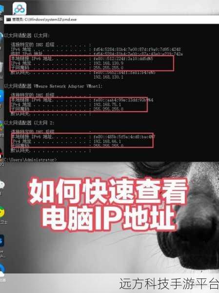 掌握 MAC 地址与 IP 地址绑定秘籍，畅游网络世界