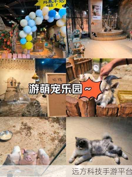 三消动物园,萌趣消除,打造你的梦幻乐园