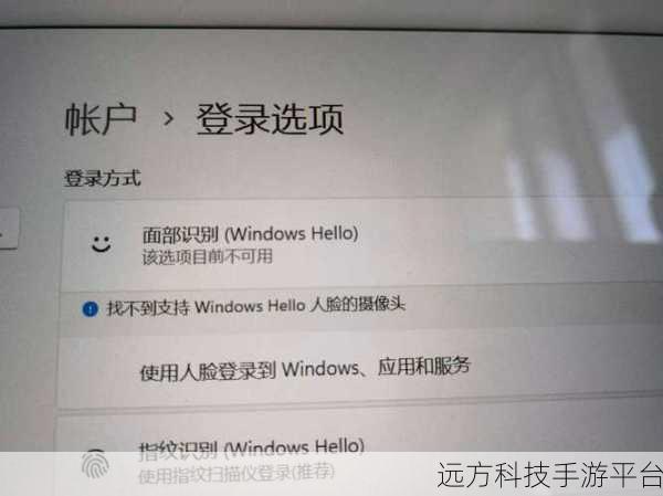 Win11 指纹解锁设置遇阻?别急,看这里!