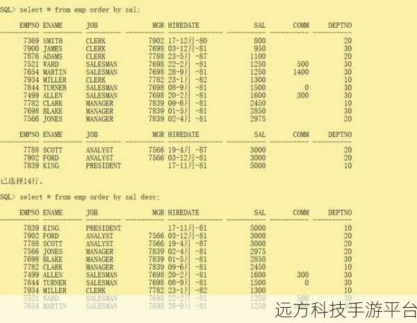探索 Oracle 数据库访问速度的关键密码