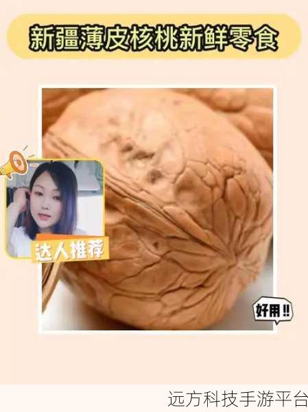 坤坤塞进核桃夹子里:1. 坤坤的奇妙冒险:核桃夹子的秘密