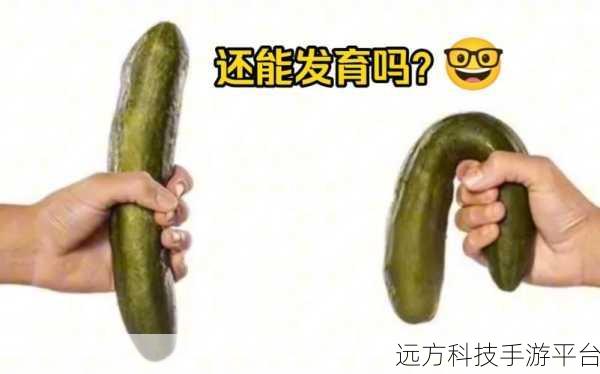 男生把坤坤放进女生句号里:1. 男生的创意:坤坤与女生句号的奇妙结合