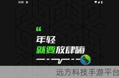 九幺高风险9.1安装：九幺高风险9.1版本安装注意事项与安全指南