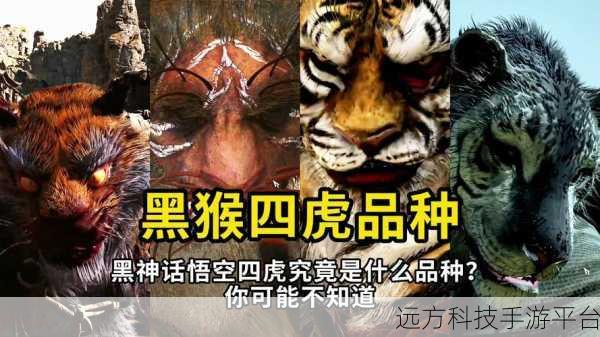 四虎新888网名:当然可以!以下是一些基于“四虎新888”的创意标题,字数均不少于10个: