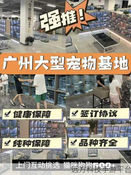 宠物基地新版本震撼上线,挂机刷宝新体验等你来享!