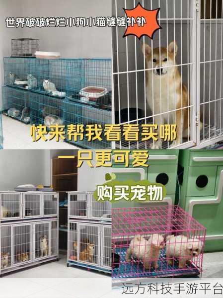 宠物基地新版本震撼上线,挂机刷宝新体验等你来享!