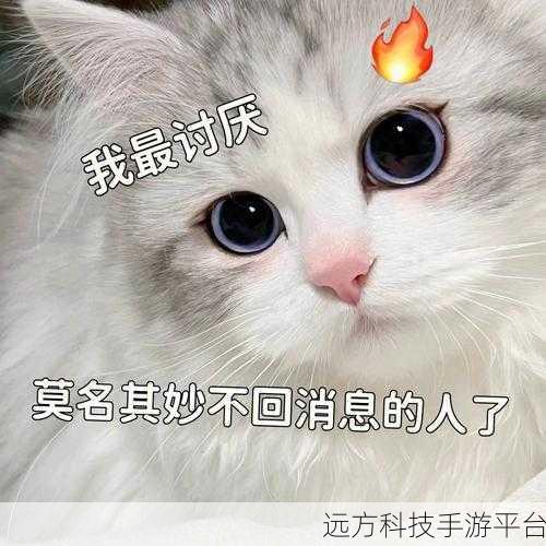 QQ表情消失之谜,为何别人发的表情我看不见?
