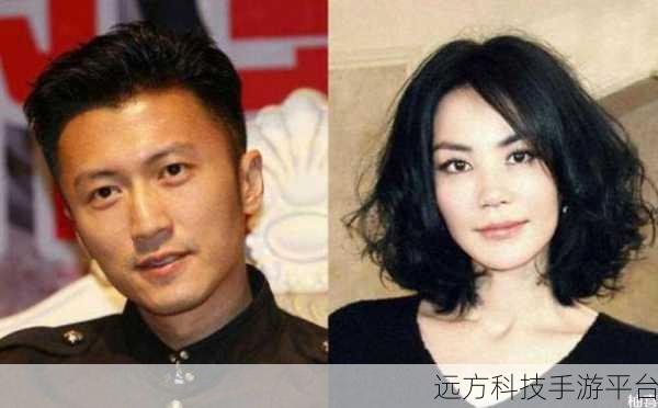 谢霆锋王菲宣布产女:谢霆锋王菲喜迎爱女降临,家庭幸福再升级
