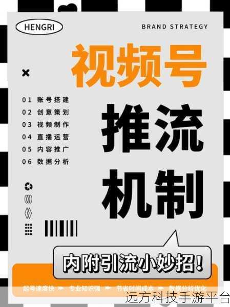 掌握视频号直播推流与投流的绝佳秘籍