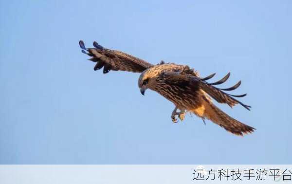 弹弓打鸟,一场别开生面的冒险射击之旅等你来战!
