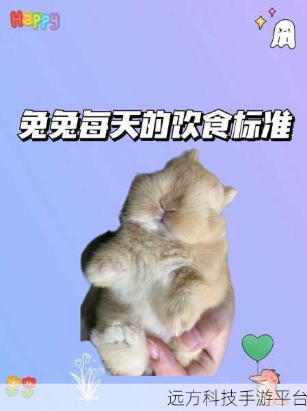 放置兔子，一场心灵治愈的萌宠养成之旅