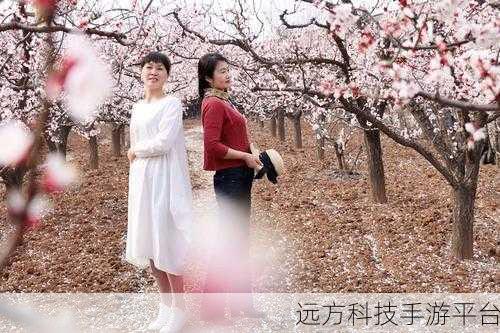 成品人直播app下载杏花:1. 成品人直播:杏花拓展,开启你的创意之旅