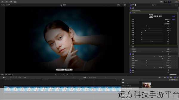 探索 FCPX 插件,视频降噪的神秘领域
