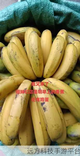 香蕉app：1. 香蕉APP：让你的生活更加便捷与精彩