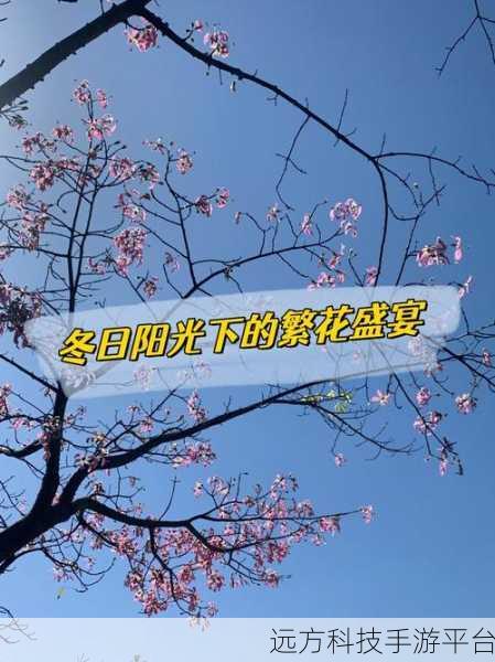 繁花似锦，一场视觉与玩法的双重盛宴，等你来下载！