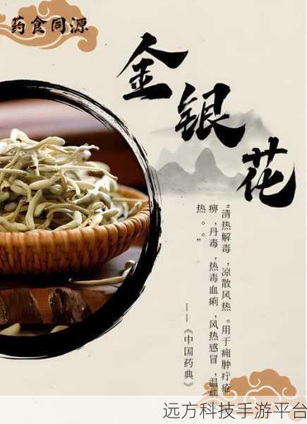 银色器物TXL金银花:1. 银色器物TXL的魅力:探索金银花文化