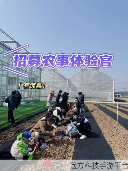小农场大商店，打造你的商业帝国，体验趣味经商之旅