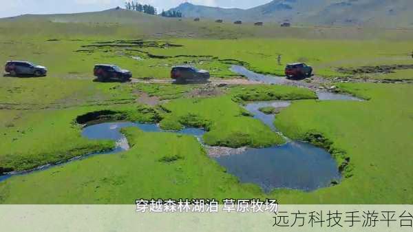 ZOOMSERVO兽狗牧场:1. ZOOMSERVO兽狗牧场:探索与创新的完美结合