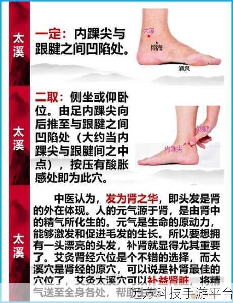 把坤放进定眼会怎么样:1. 把坤放进定眼后,天地如何变化?