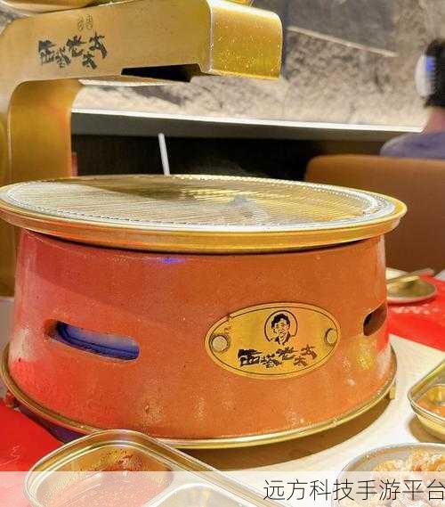 冰冷的肉哪里掉的多:1. 冰冷的肉:从何而来,去向何方?
