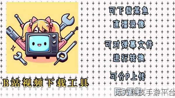 B站视频播放软件有哪些功能