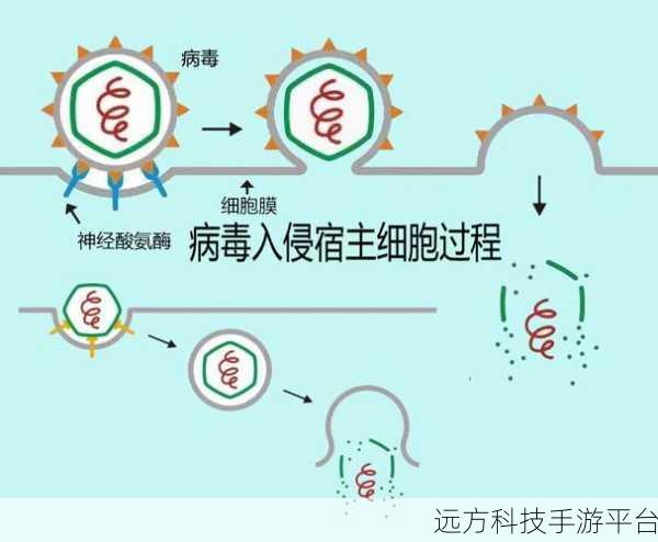 宿主需要jy才能变美:根据宿主需求,揭示美丽转变的秘密之旅