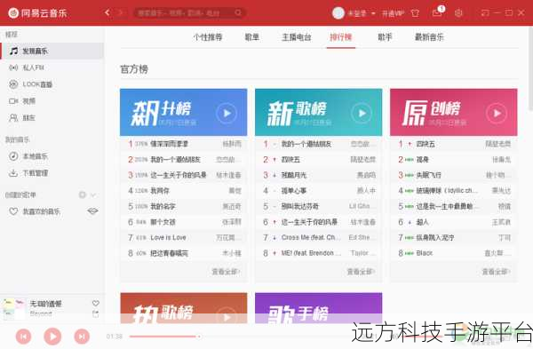 轻松掌握,电脑版网易云一键删全部下载音乐秘籍