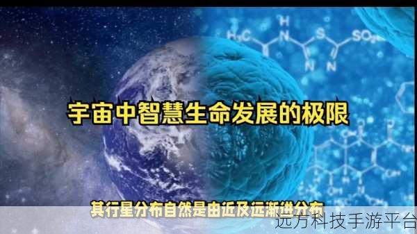 烧脑新挑战!大脑转转转,解锁你的智慧极限