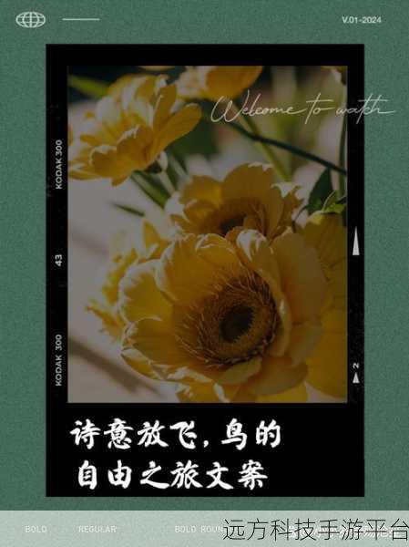 努力的小鸟,翱翔射击新体验,休闲闯关乐无边