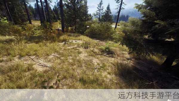 狩猎季震撼来袭,沉浸式狩猎模拟新体验